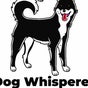 Dog Whisperer Grimsby - Building Behind, 1 Johnson Street, Cleethorpes, England