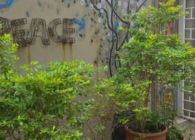 Tranquil garden corner with wall art at Beautistic Salon, Pretoria, Gauteng, ZA.