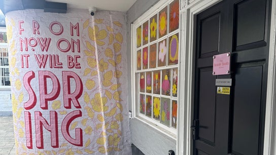 Sophie Knight Studio