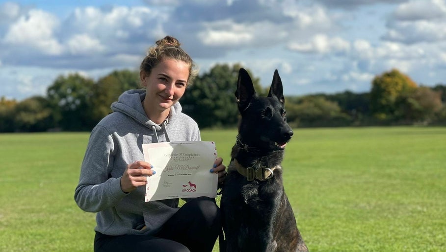 NI Dog Training Services  image 1