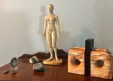 Acupuncture figure and fossils at Beauty Culture Avondale, Chicago, Illinois, US on a wooden shelf.