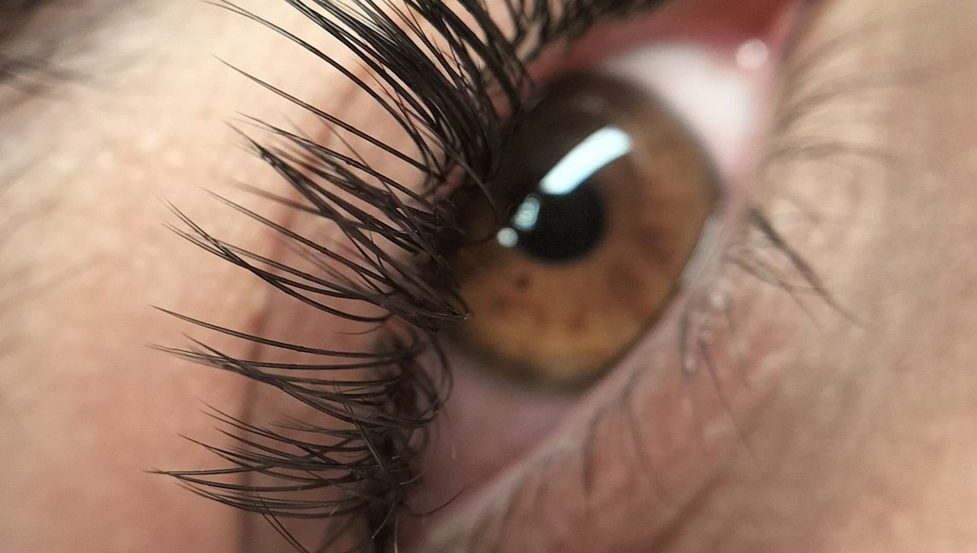 Close-up of styled eyelashes at Lash Artistry by RK, Buttaba, New South Wales, AU.