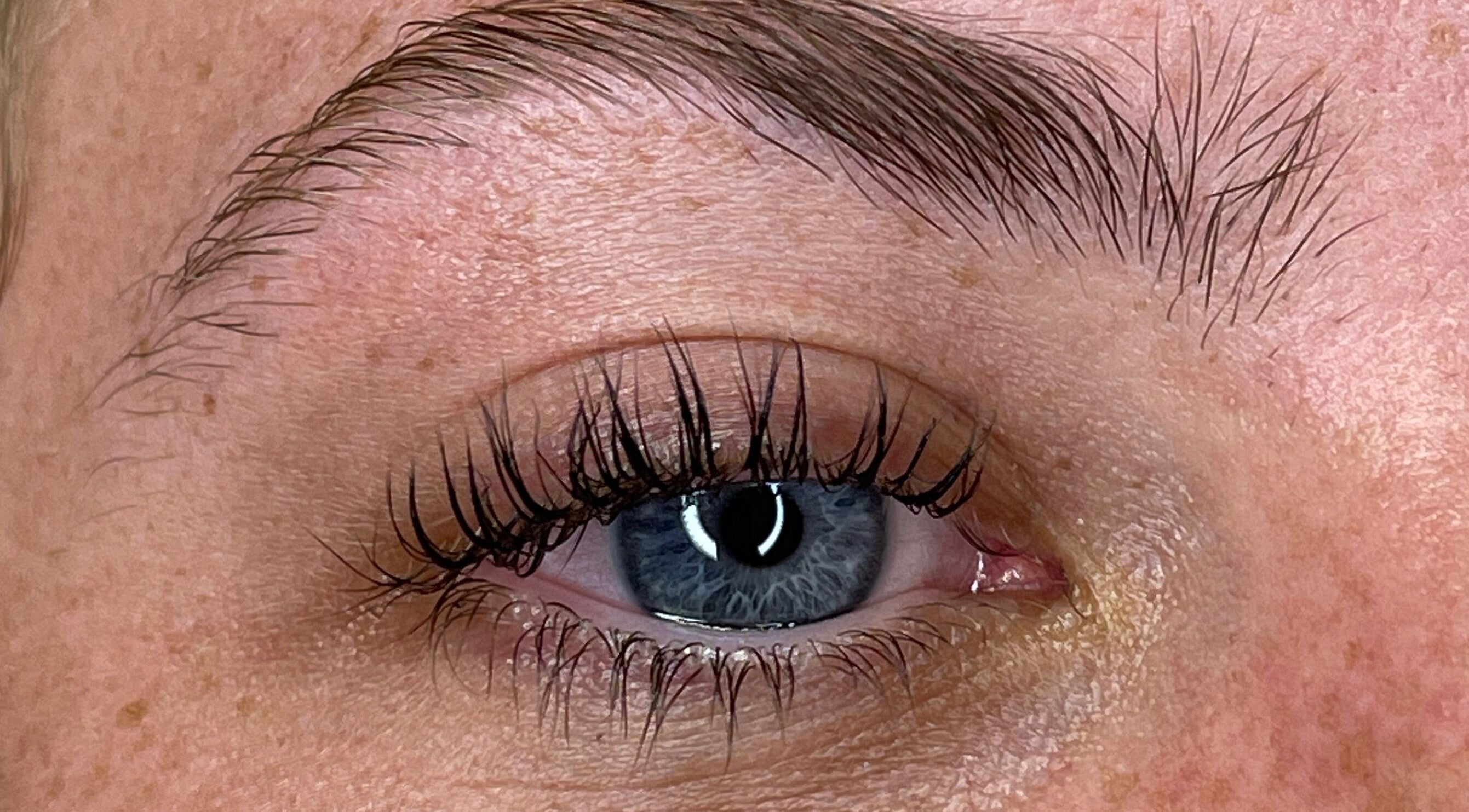 Close-up of elegant lashes enhanced at CLM Beauty Bar, Dyce, Scotland, GB.