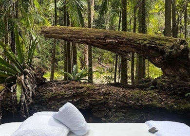 Tranquil wellness setting at The Sanctuary, Kingscliff nestled in lush forest in Kingscliff, New South Wales, AU.