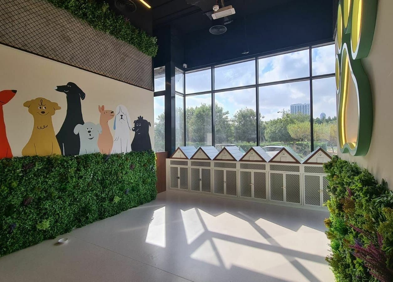 Bright interior of Tiny Paws in Dubai, AE. Colorful dog mural and cozy kennels with lush greenery.