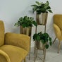 ILA Beauty Med Spa - 1 De Boers Drive, 102, North York, Toronto, Ontario