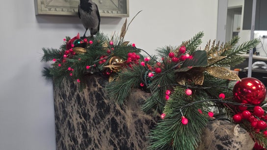 Black Angels Beauty Salon