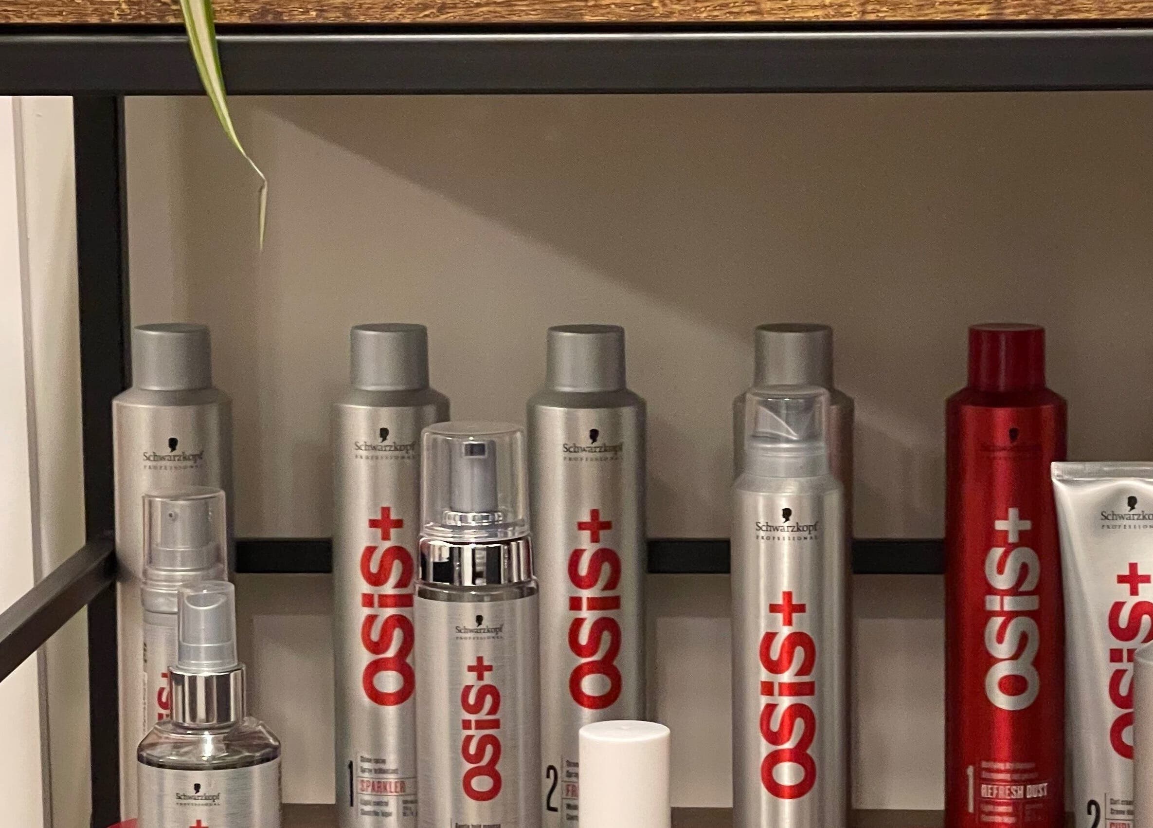 Schwarzkopf Osis+ products on display at Lily Of The Valley, Fremington, England, GB.