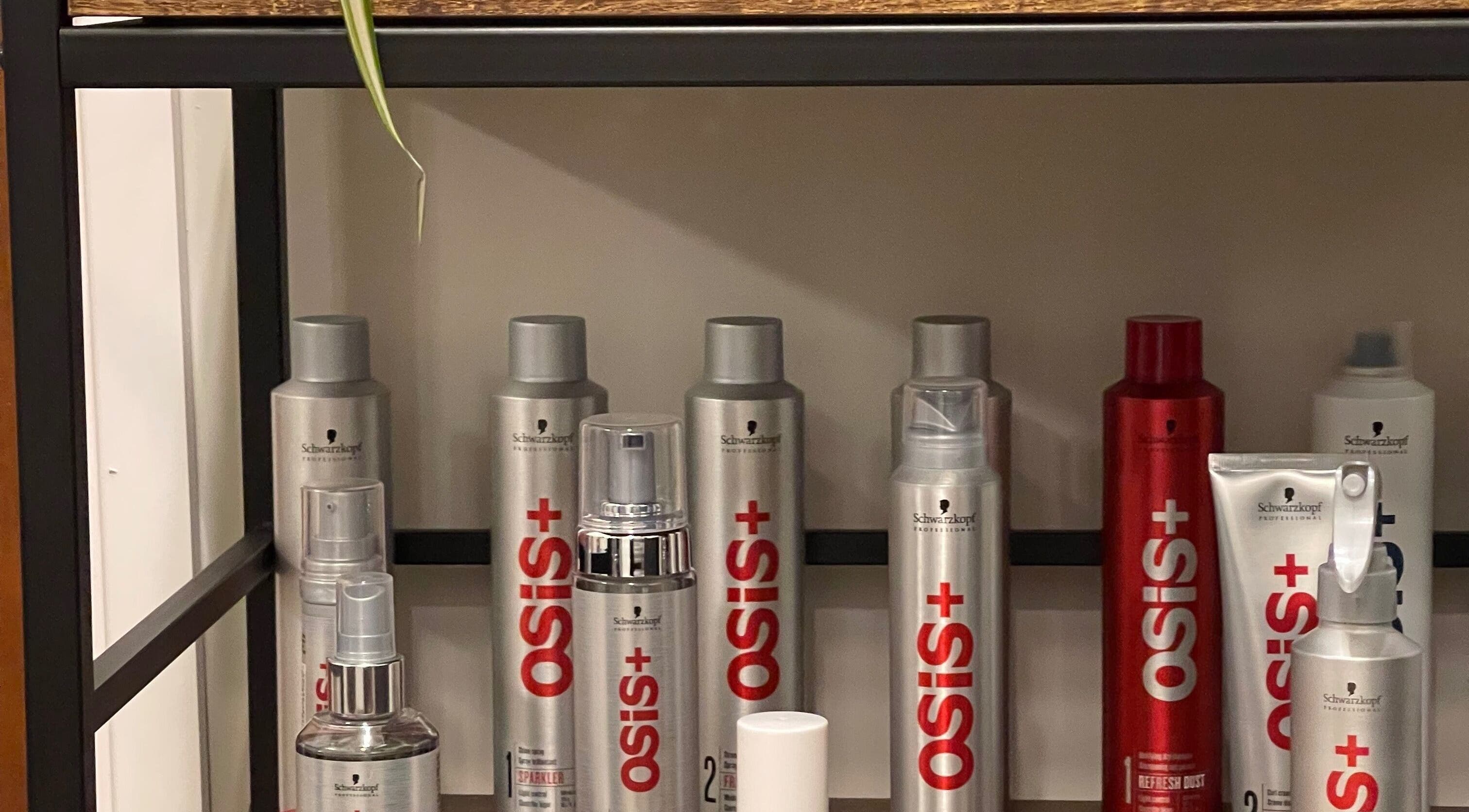 Schwarzkopf Osis+ products on display at Lily Of The Valley, Fremington, England, GB.