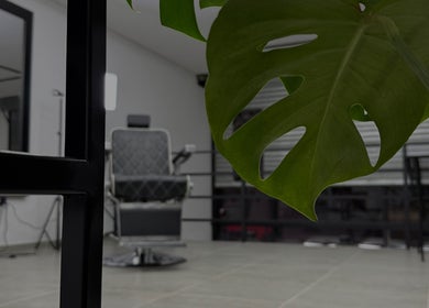 Sala moderna en VetriCut's, Buenos Aires, con planta decorativa y silla estilizada.