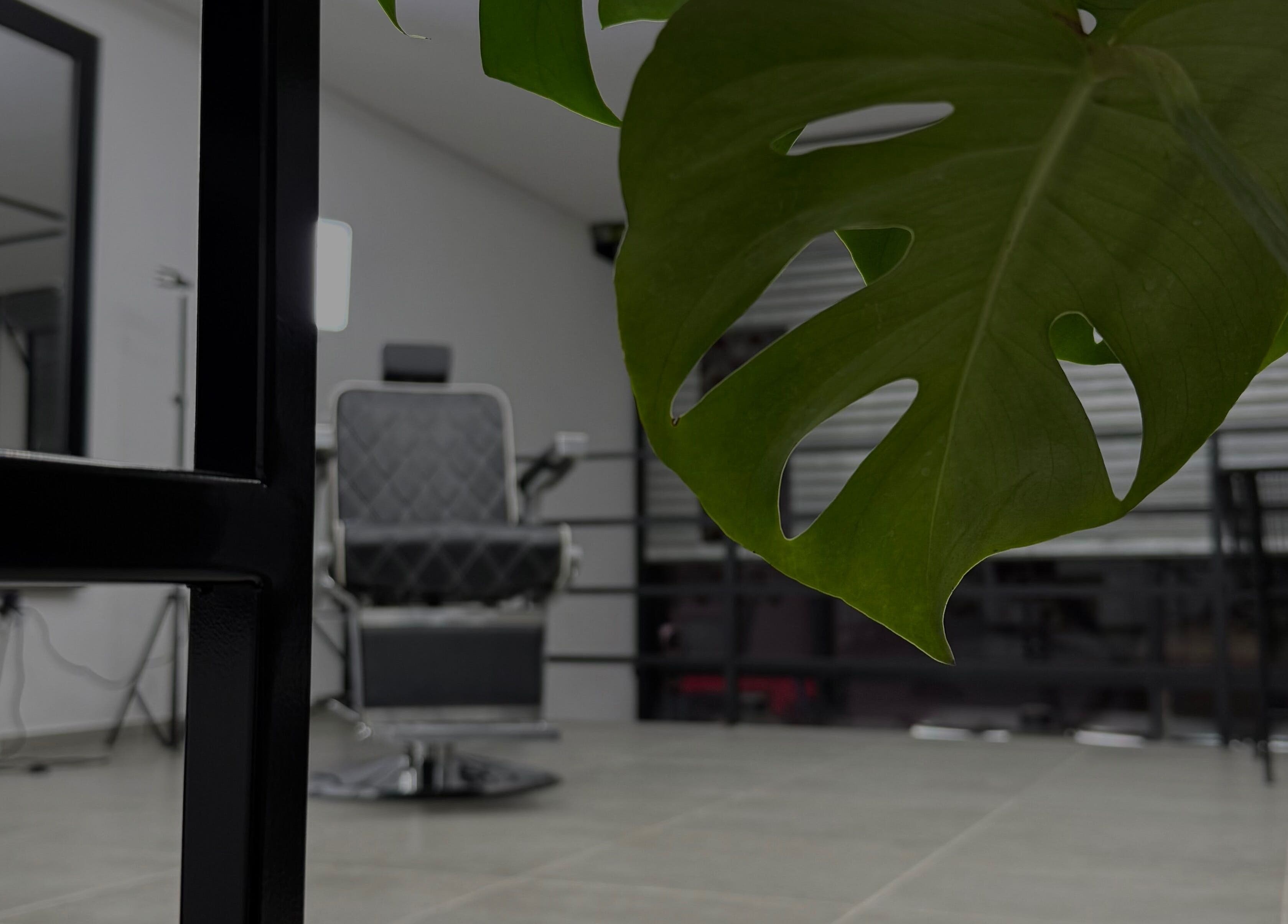 Sala moderna en VetriCut's, Buenos Aires, con planta decorativa y silla estilizada.