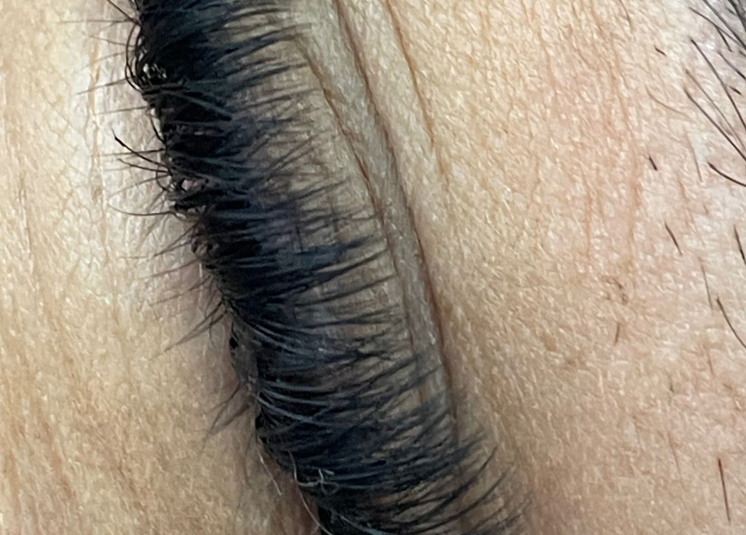 Close-up of eyelash extensions at Lashes by Simone in Boksburg, Gauteng, ZA.
