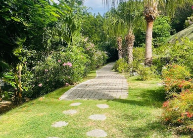 Peaceful garden path at TI SPA, Grand Case, Collectivité De Saint-Martin, MF, amidst lush greenery.