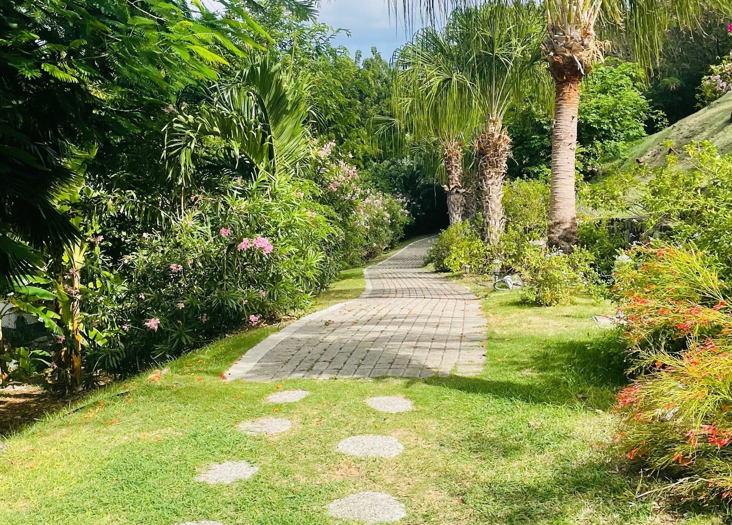 Lush garden path at TI Spa, Grand Case, Collectivité De Saint-martin, MF, lined with tropical plants and palm trees.