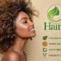 Hair Bio Concept