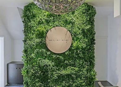 Lush vertical garden at Siren Beauty Warrnambool in Warrnambool, Victoria, AU, enhancing a serene ambiance.
