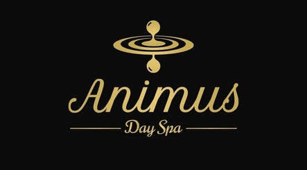 Animus Massage