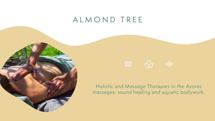 Εικόνα Almond Tree - Wellness Anywhere You Are 1