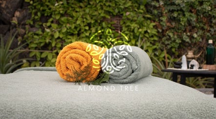 Εικόνα Almond Tree - Wellness Anywhere You Are 2