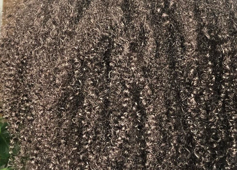 Close-up of curly hair styled at Doctor Curlz, Paradijswijk, AW, showcasing rich texture and definition.