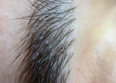 Близък план на естествени вежди в Mona PhiBrows & Lashes, Съединение, Plovdiv, BG.