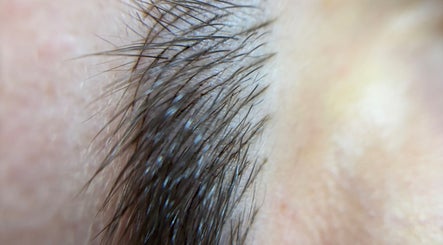 Близък план на естествени вежди в Mona PhiBrows & Lashes, Съединение, Plovdiv, BG.