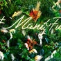 Manifun Beauty Lounge