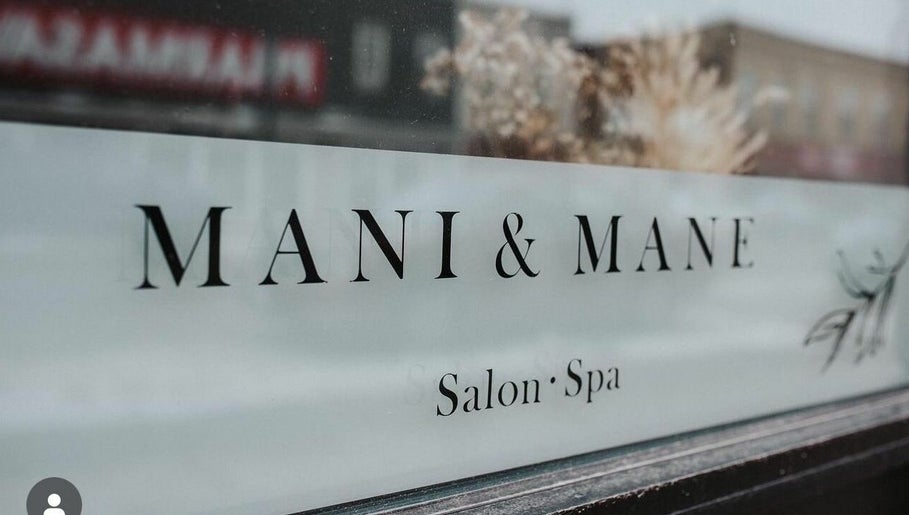 Mani and Mane – kuva 1