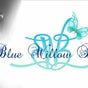 Blue Willow Beauty - 13 Gambia Street, Kearns, New South Wales
