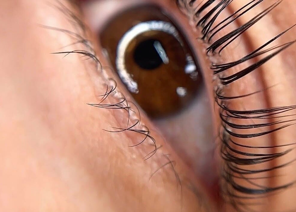 Close-up de pestañas destacadas en Lash Room Refugio, Santiago De Querétaro, Querétaro, MX.