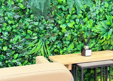 Green foliage decor at Roots & Rituals Salon Inverness, Inverness, Scotland, GB.