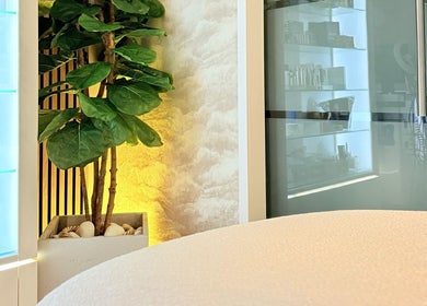 Serene corner at Roots & Rituals Salon Inverness with green plant and illuminated shelves, Inverness, Scotland, GB.
