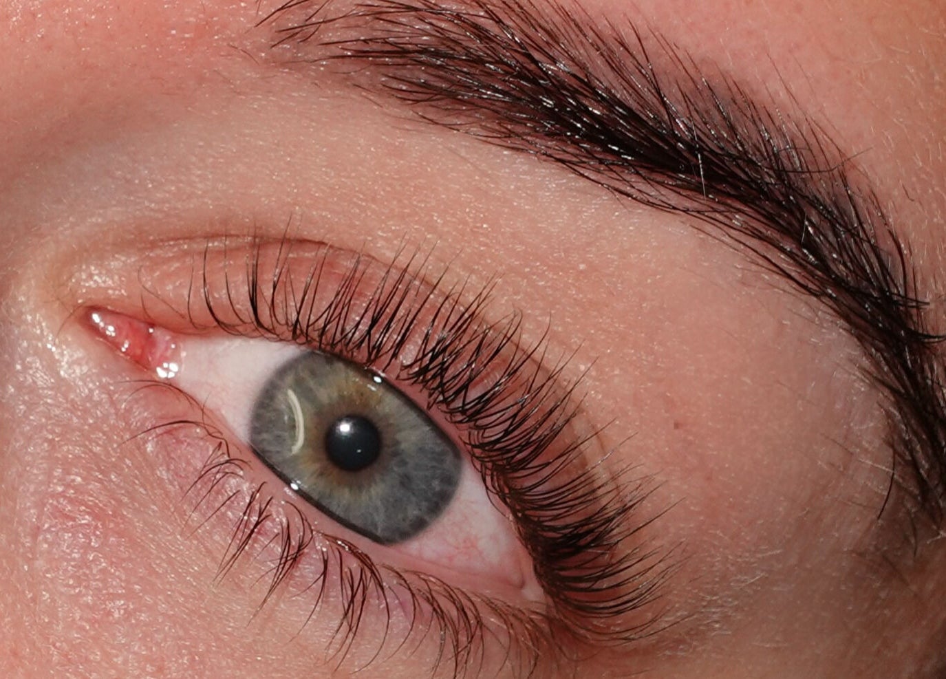 Close-up of perfectly groomed brow and lashes at Belfast Brows & Lash Extensions, Belfast, Northern Ireland, GB.