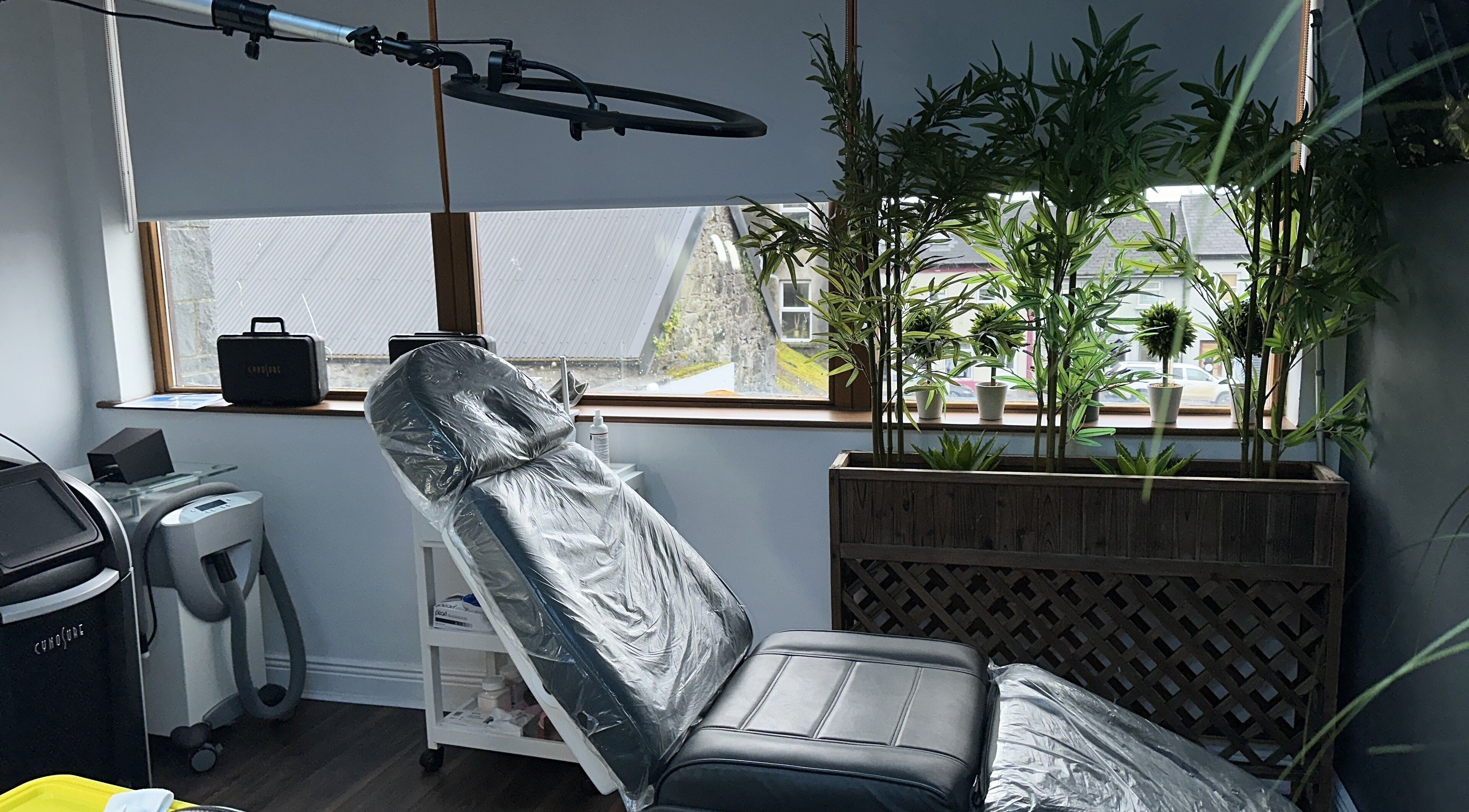 A comfortable treatment room at Alicia Von Browz, Clare, County Mayo, IE with a reclining chair and lush plants.