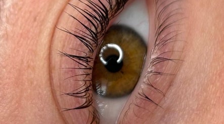 Brow Archistry image 2