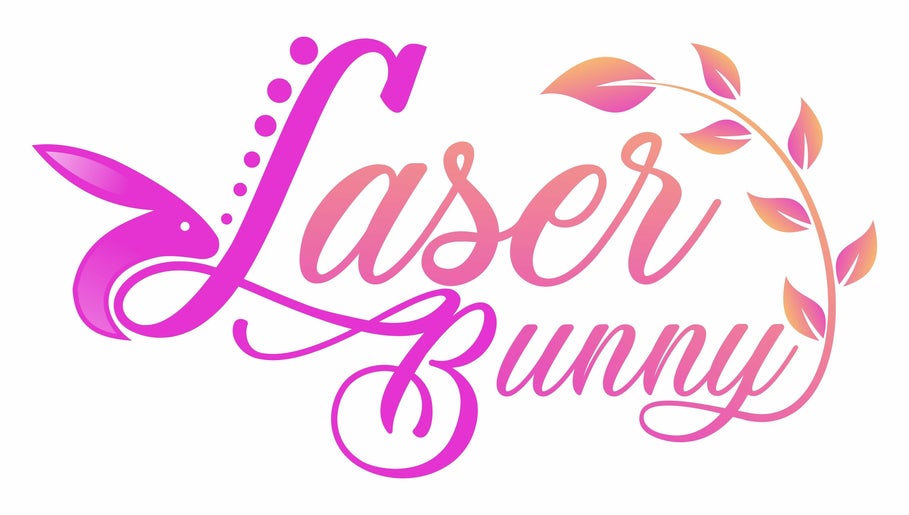 Laser Bunny – kuva 1