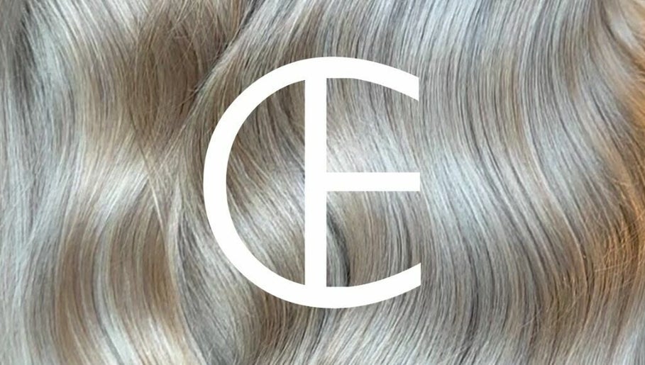 Carys Ellis Hair Aesthetic image 1
