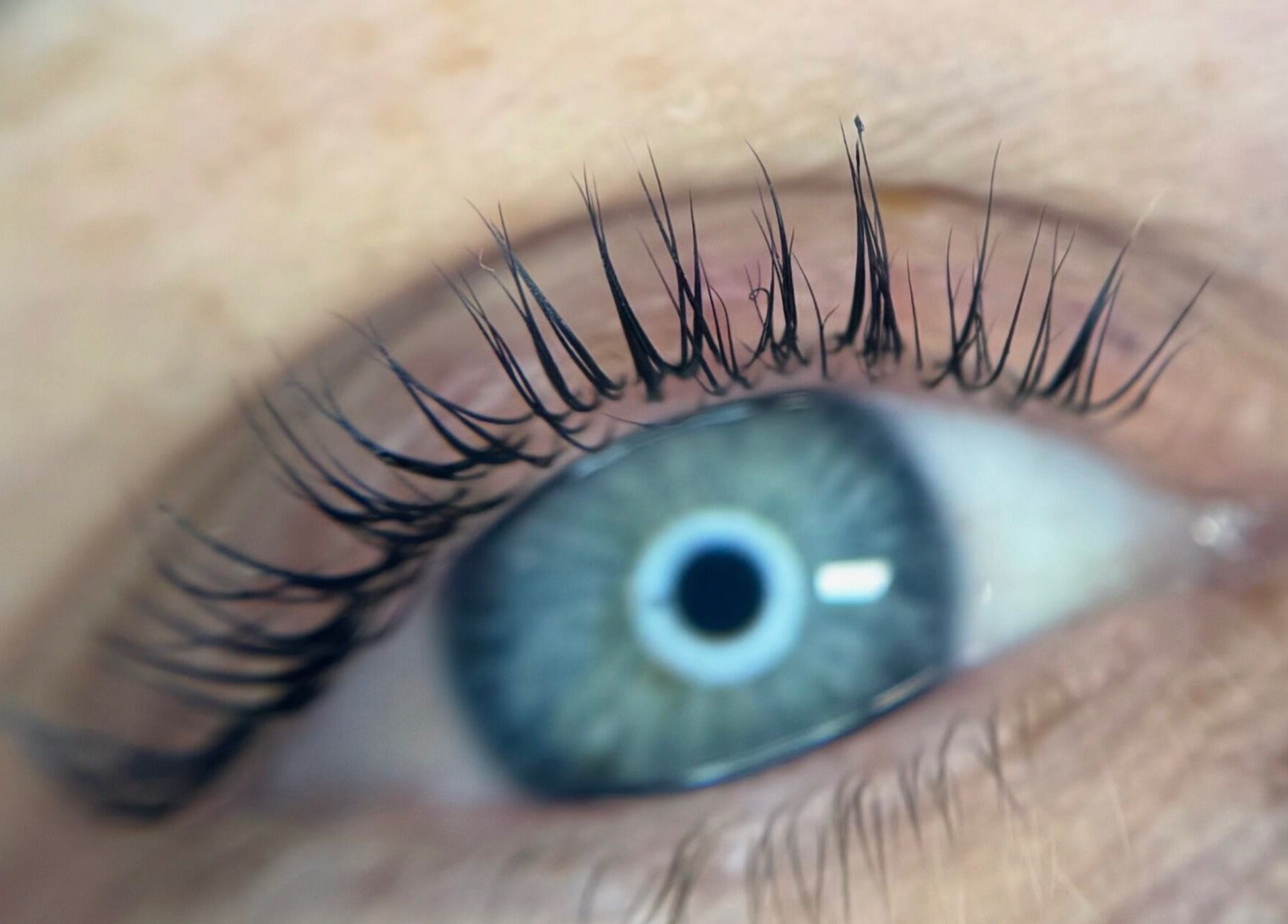 Close-up of styled lashes available at Studio 48, Randburg, Gauteng, ZA.