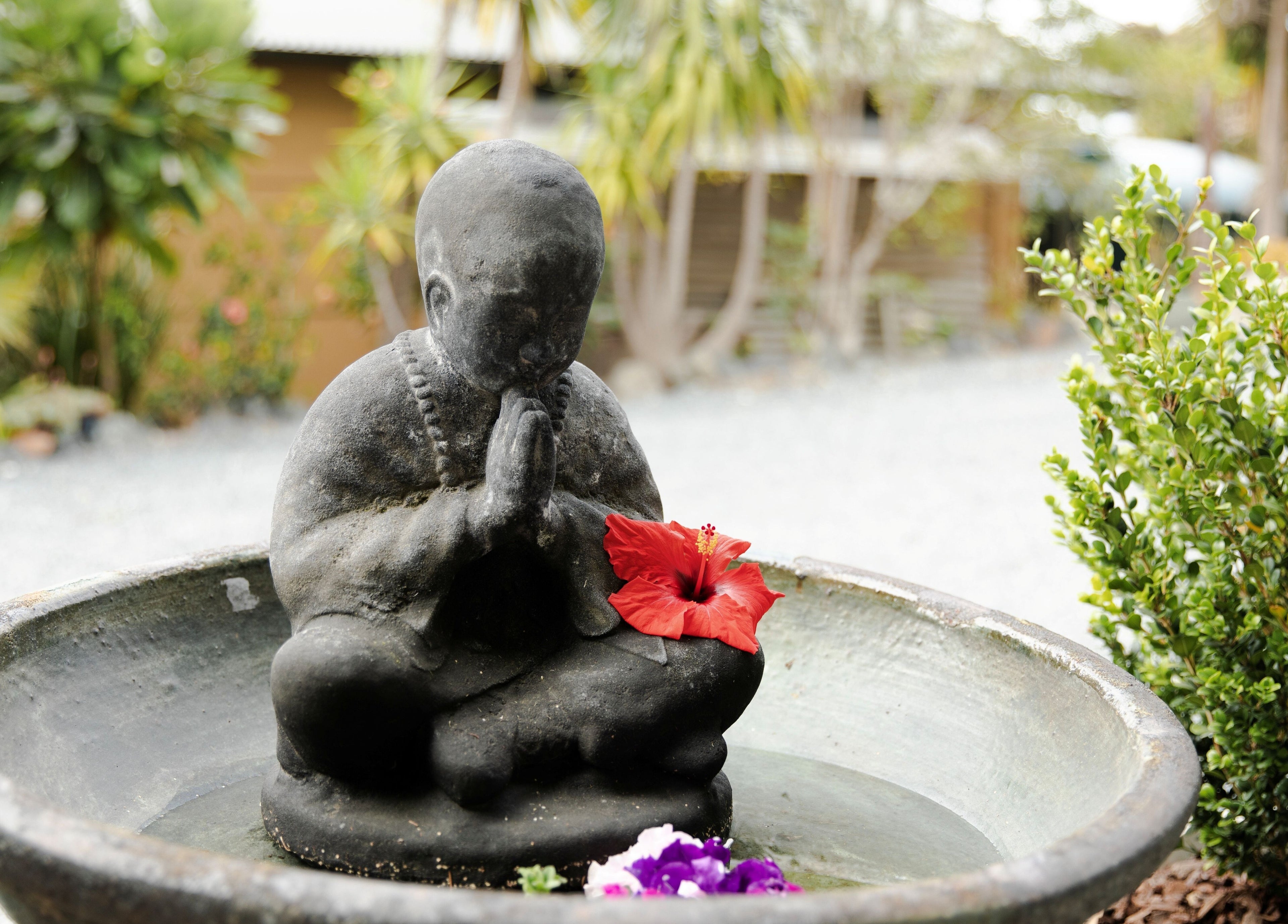 Serene monk statue with flowers at The Sage Room Energy, Mangawhai, Northland, NZ, epitomizing peace and nature.