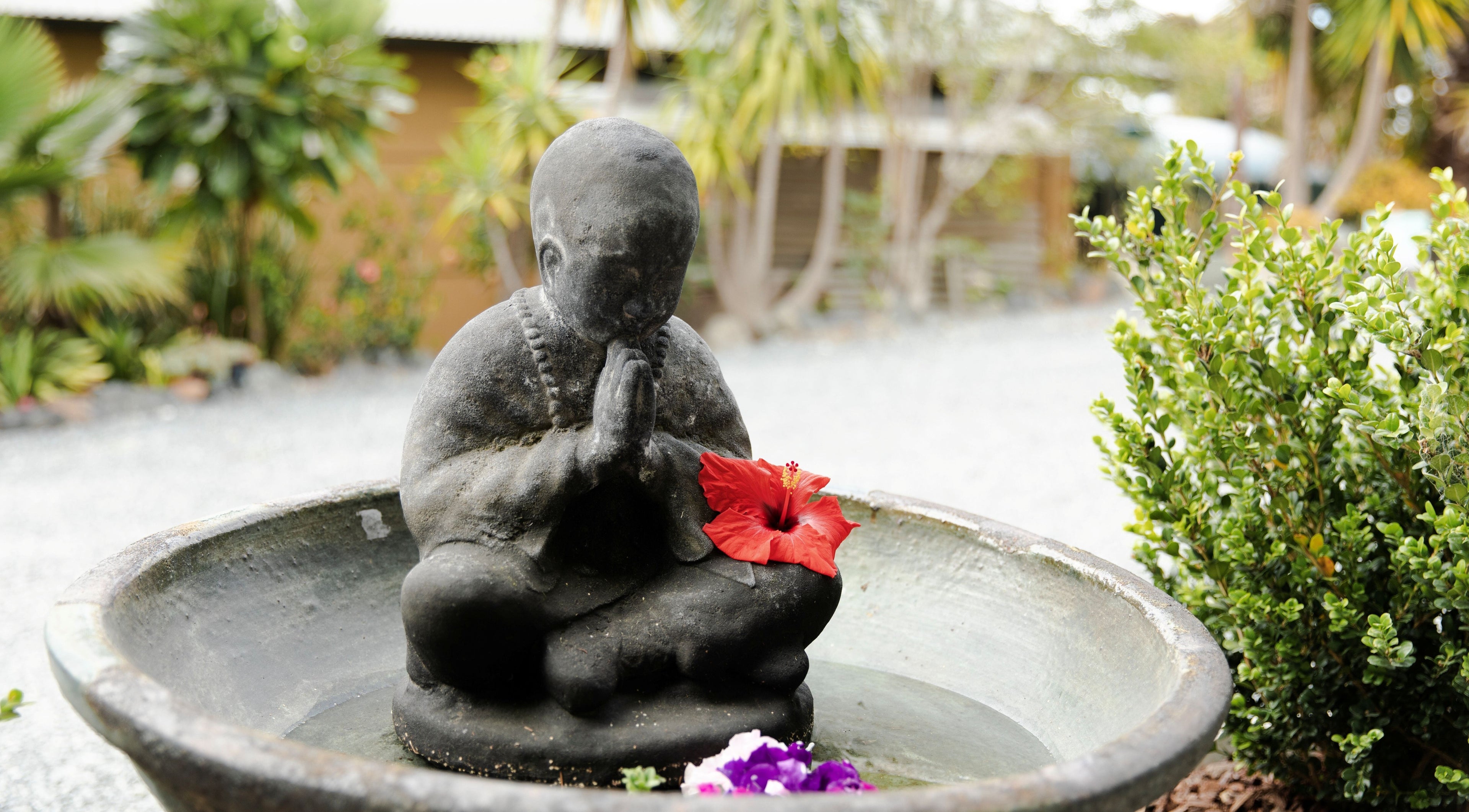 Serene monk statue with flowers at The Sage Room Energy, Mangawhai, Northland, NZ, epitomizing peace and nature.
