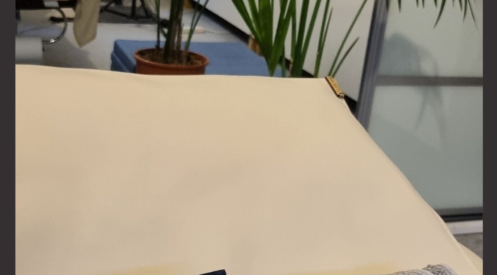 Relaxing treatment room at Waxing by Amy in Pontypool, Wales, GB with plush bed and serene plants.