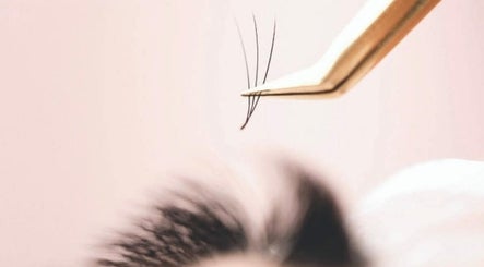The Lash and Beauty Studio
