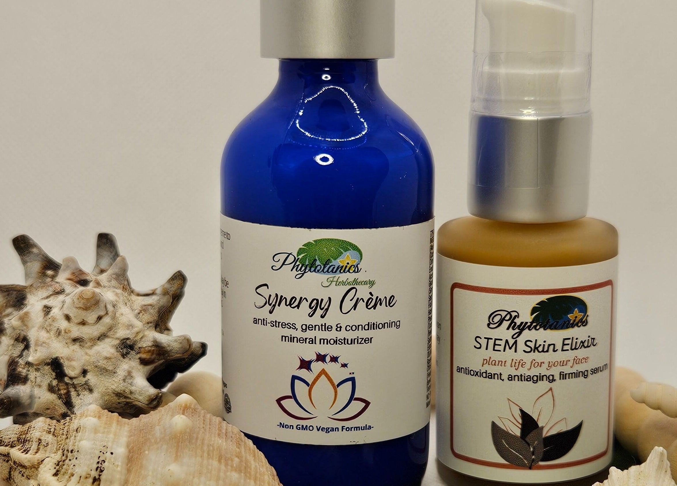 Elegant beauty products with seashells at The Compass Spa Therapy & Wellbeing in Tampa, Florida, US.