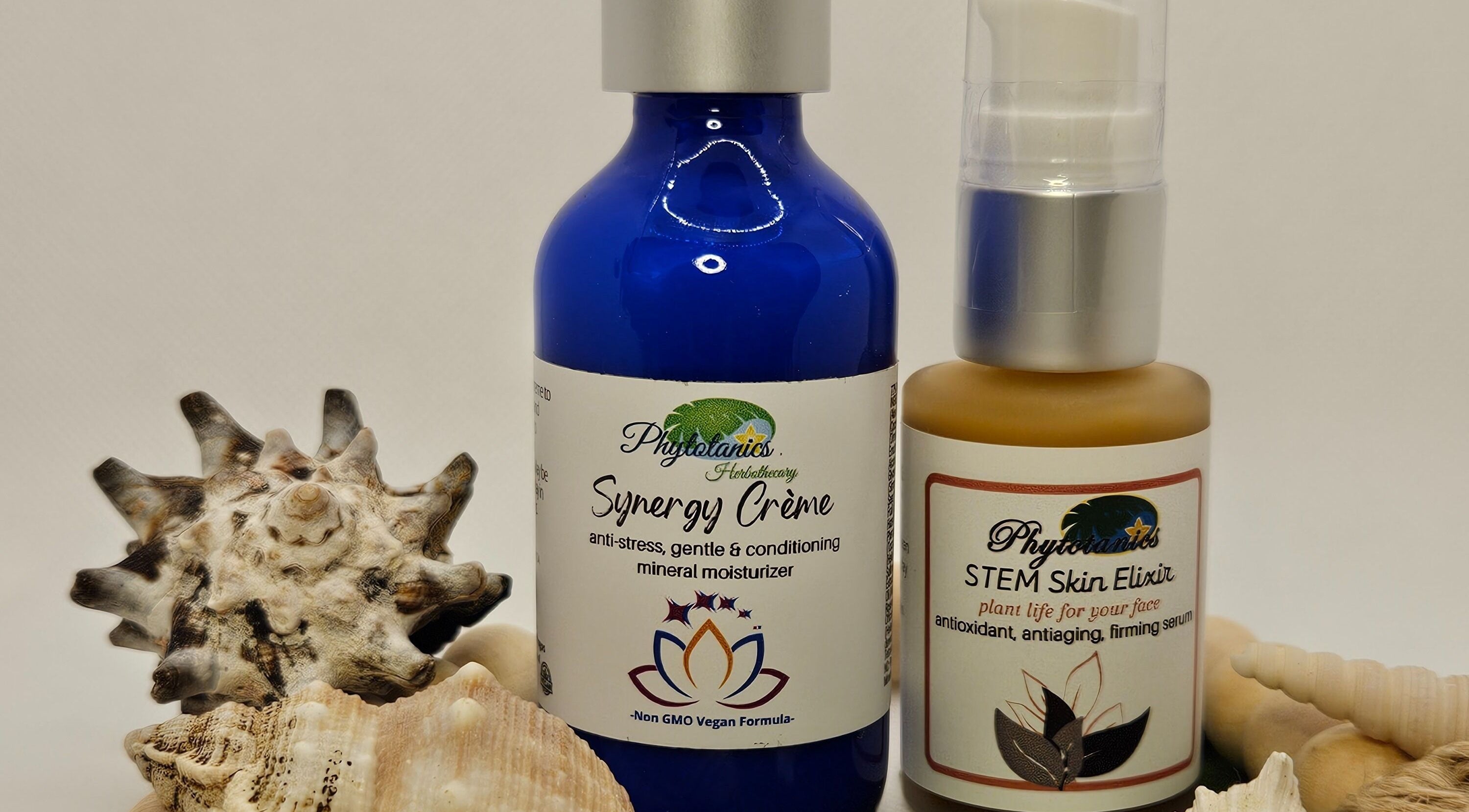 Elegant beauty products with seashells at The Compass Spa Therapy & Wellbeing in Tampa, Florida, US.