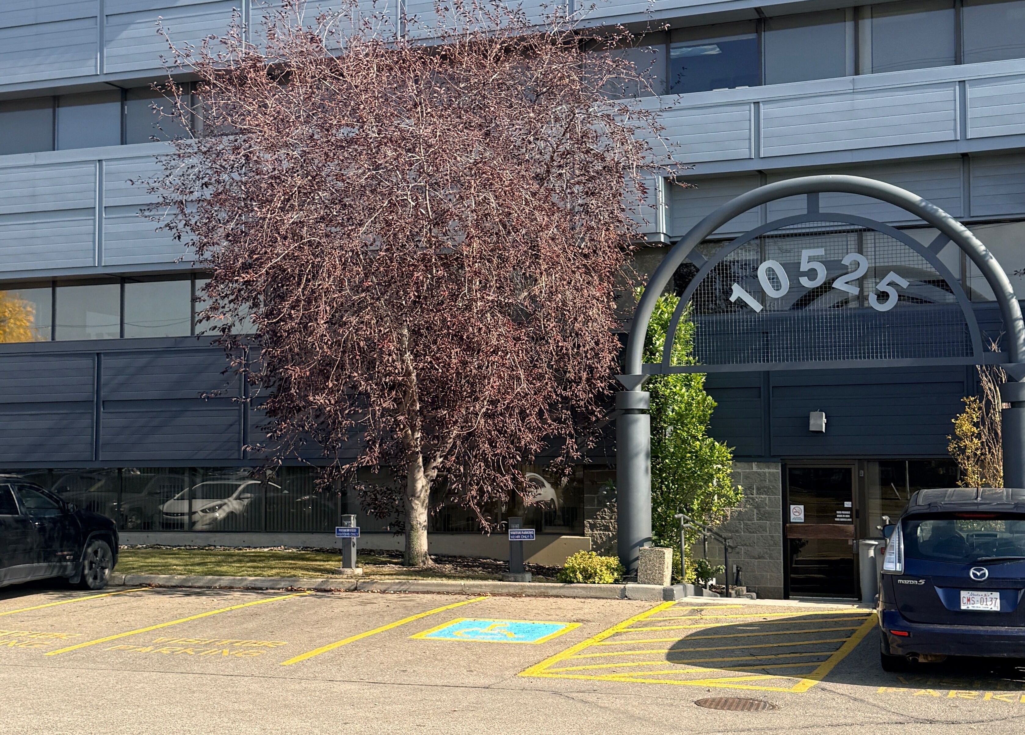 Entrance of Lash Brow in Edmonton, Alberta, CA, featuring modern building facade and parking.
