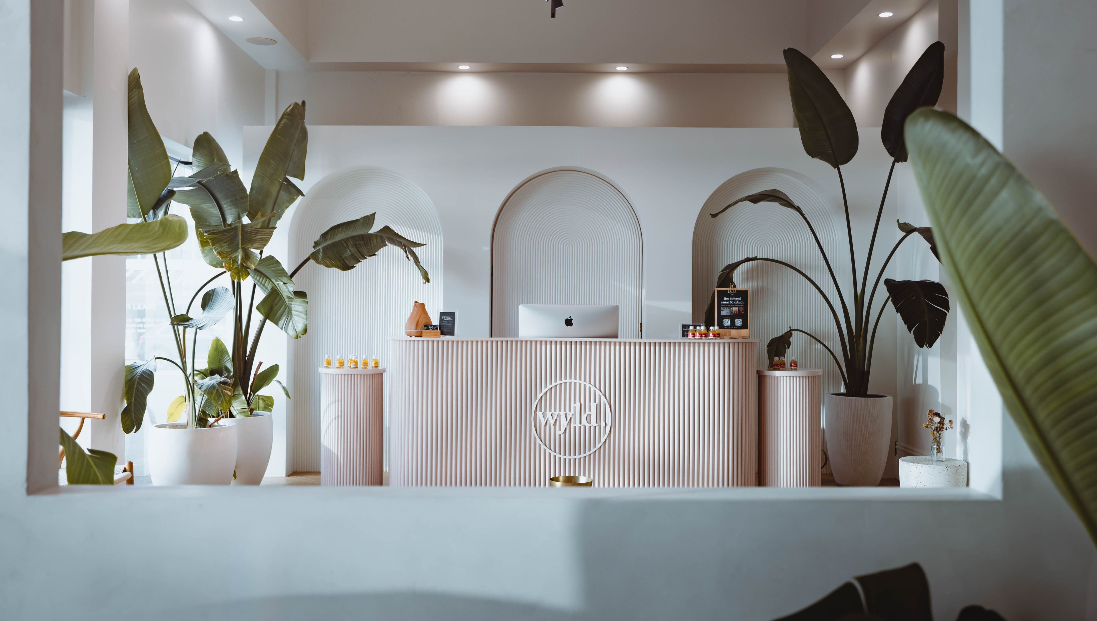 Reception area at WYLD Howick in Auckland, NZ featuring modern decor and tropical plants.