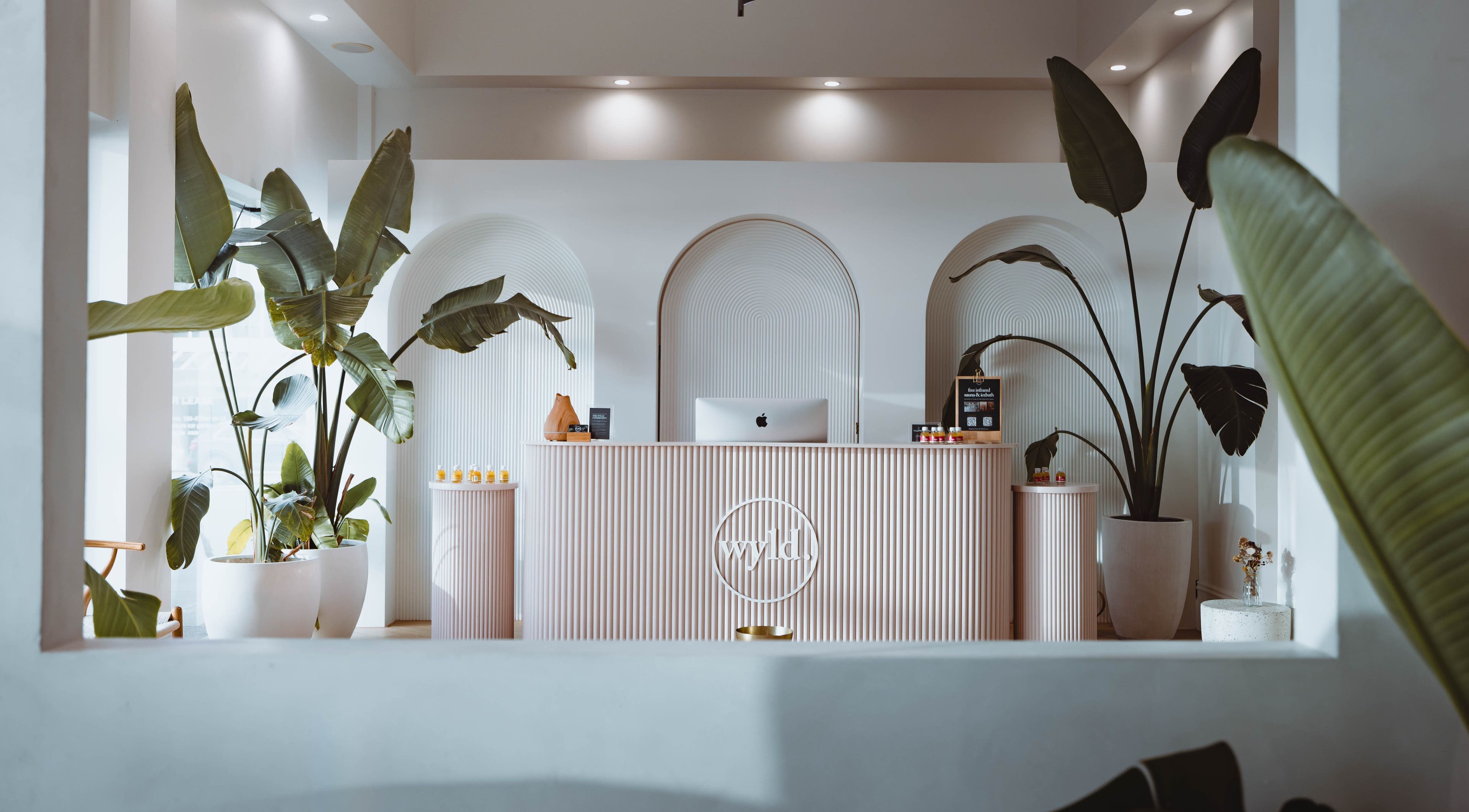 Reception area at WYLD Howick in Auckland, NZ featuring modern decor and tropical plants.