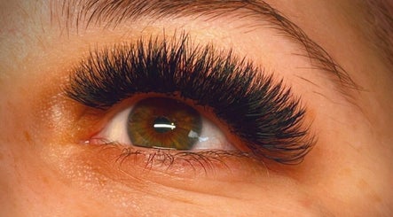 Mass Lashes and Beauty