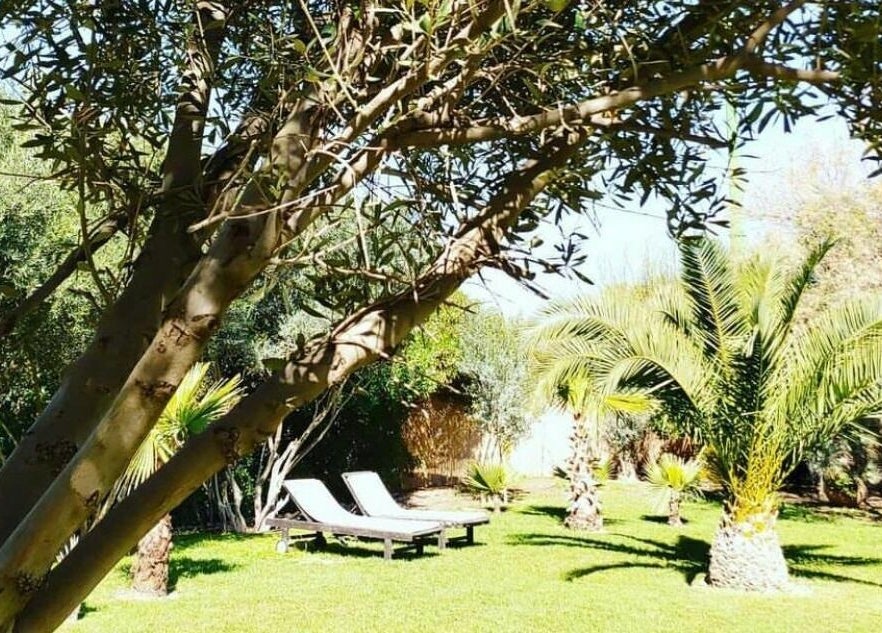 Jardin avec chaises longues à Wud Spa, El Bour, Marrakesh-safi, MA pour détente en pleine nature.