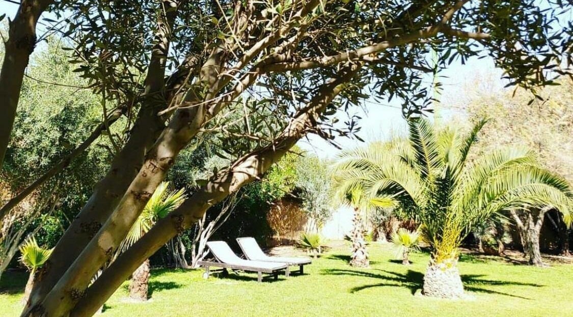 Jardin avec chaises longues à Wud Spa, El Bour, Marrakesh-safi, MA pour détente en pleine nature.
